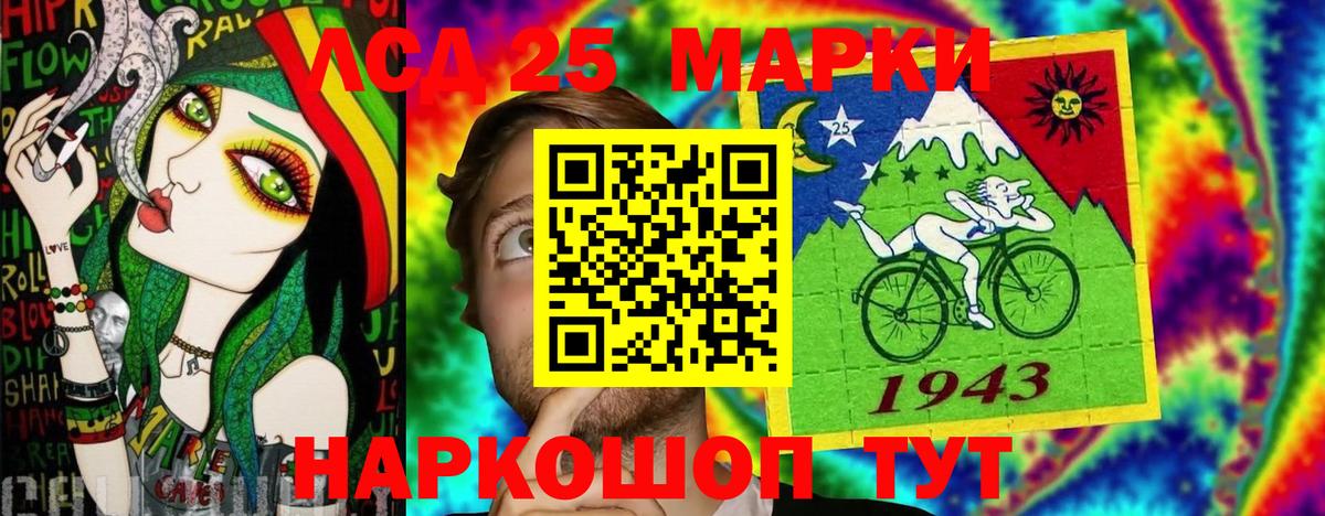 Галлюциногенные грибы Вольск