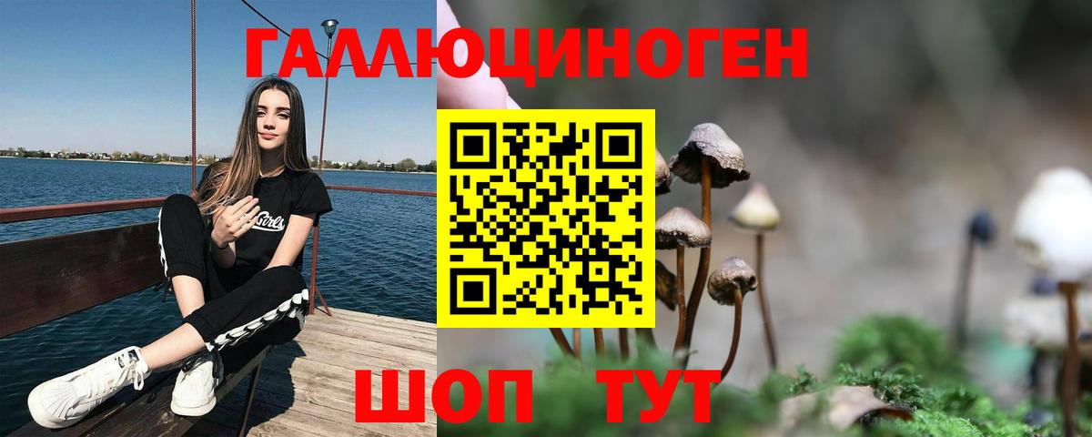 Галлюциногенные грибы мицелий Вольск